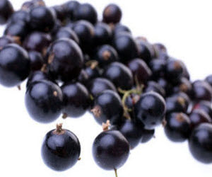 Black Currants