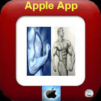 How To Get Quick Abs Apple App